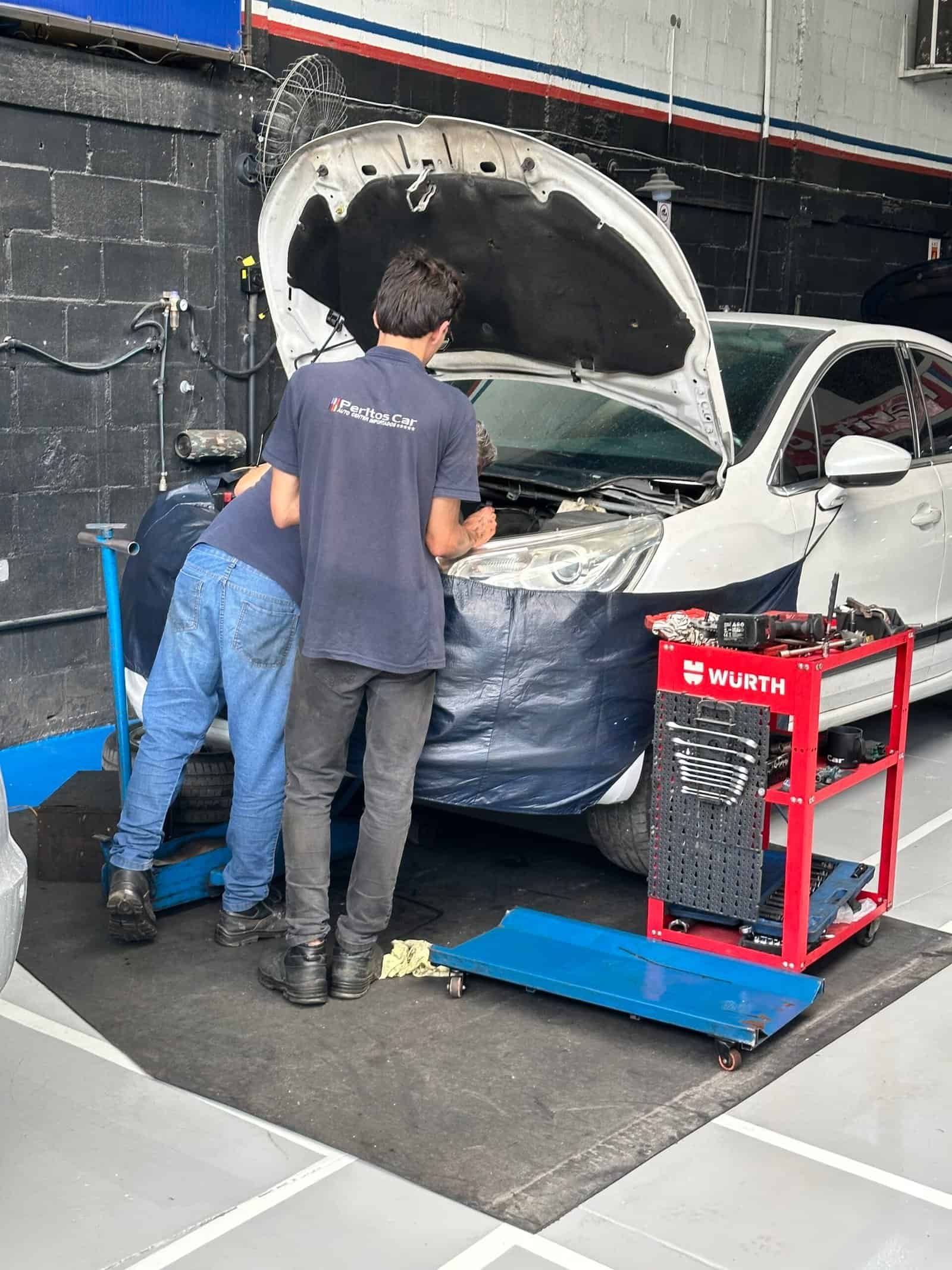 Manutenção Preventiva Peugeot Citroën Renault: Guia Completo RJ